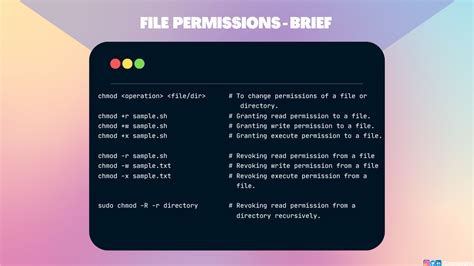 How can I change the permissions of project folder ...